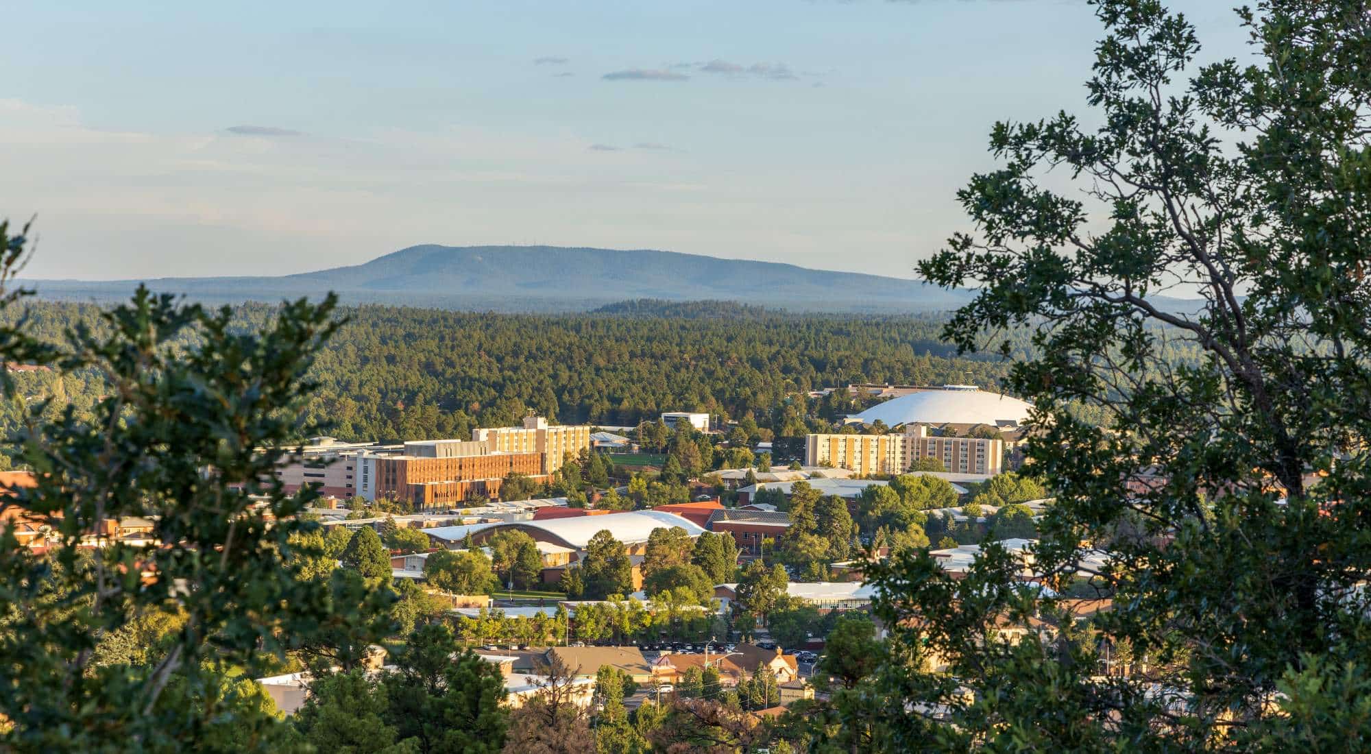 succeed-aba-flagstaff succeed aba flagstaff