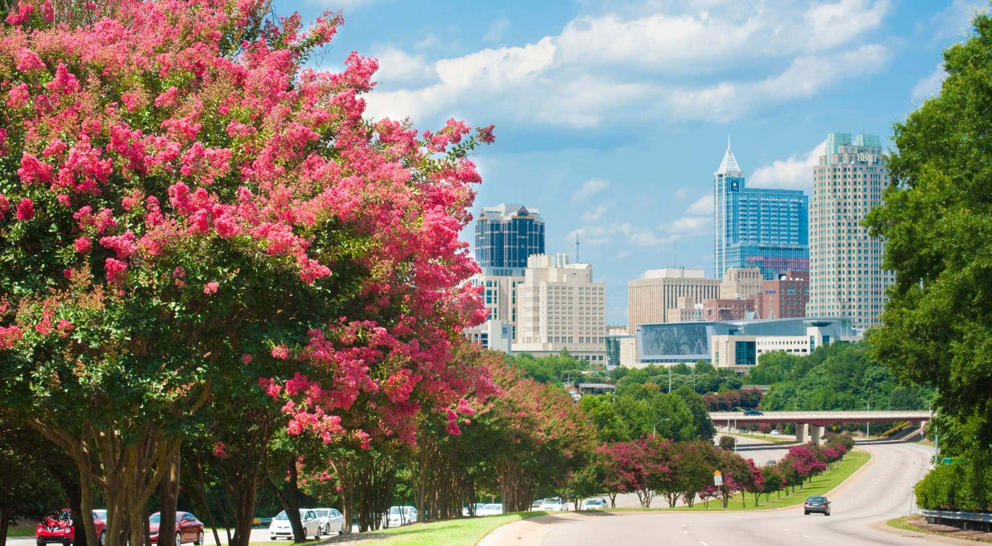 succeed-aba-raleigh succeed aba raleigh<br />